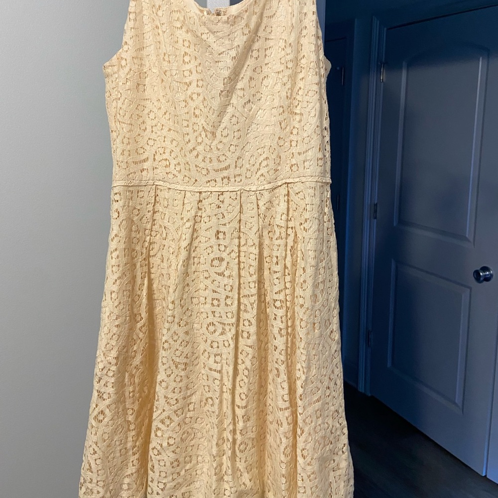 J crew lace dress NWT